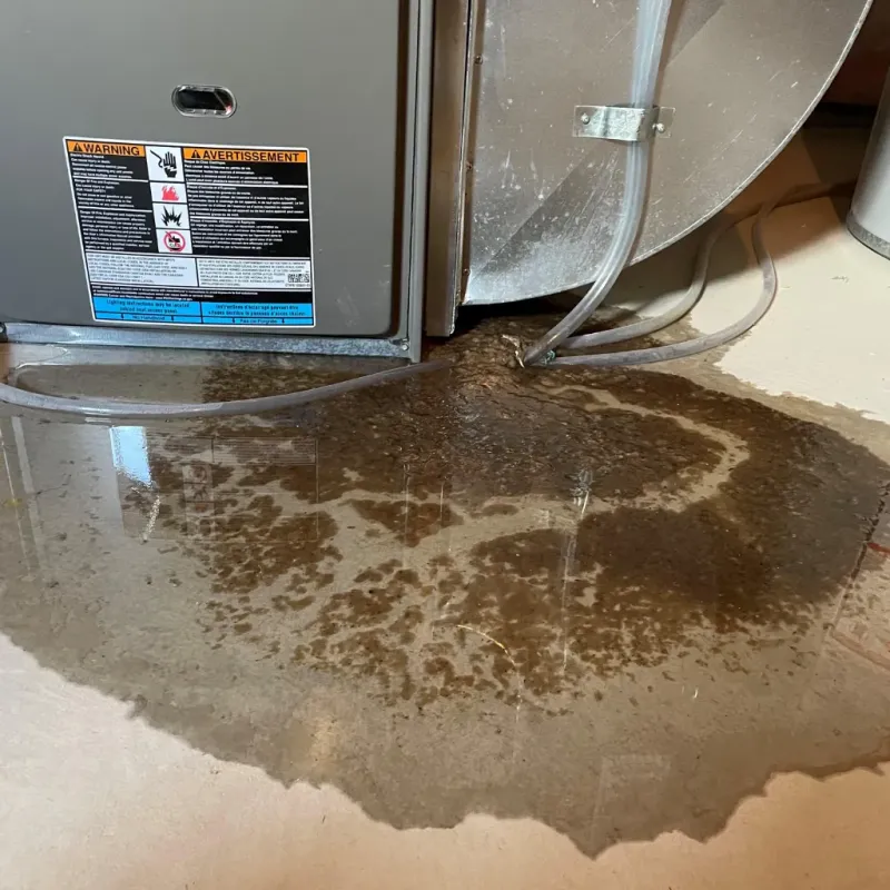 Appliance Leak Cleanup in Presquille, LA